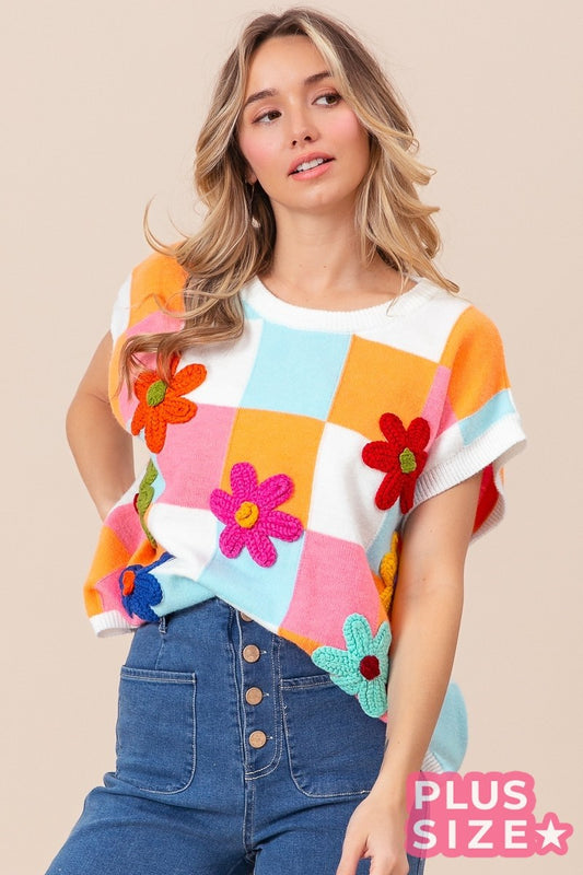 Daisy Patch Colorblock Knit Top (1X-3X)