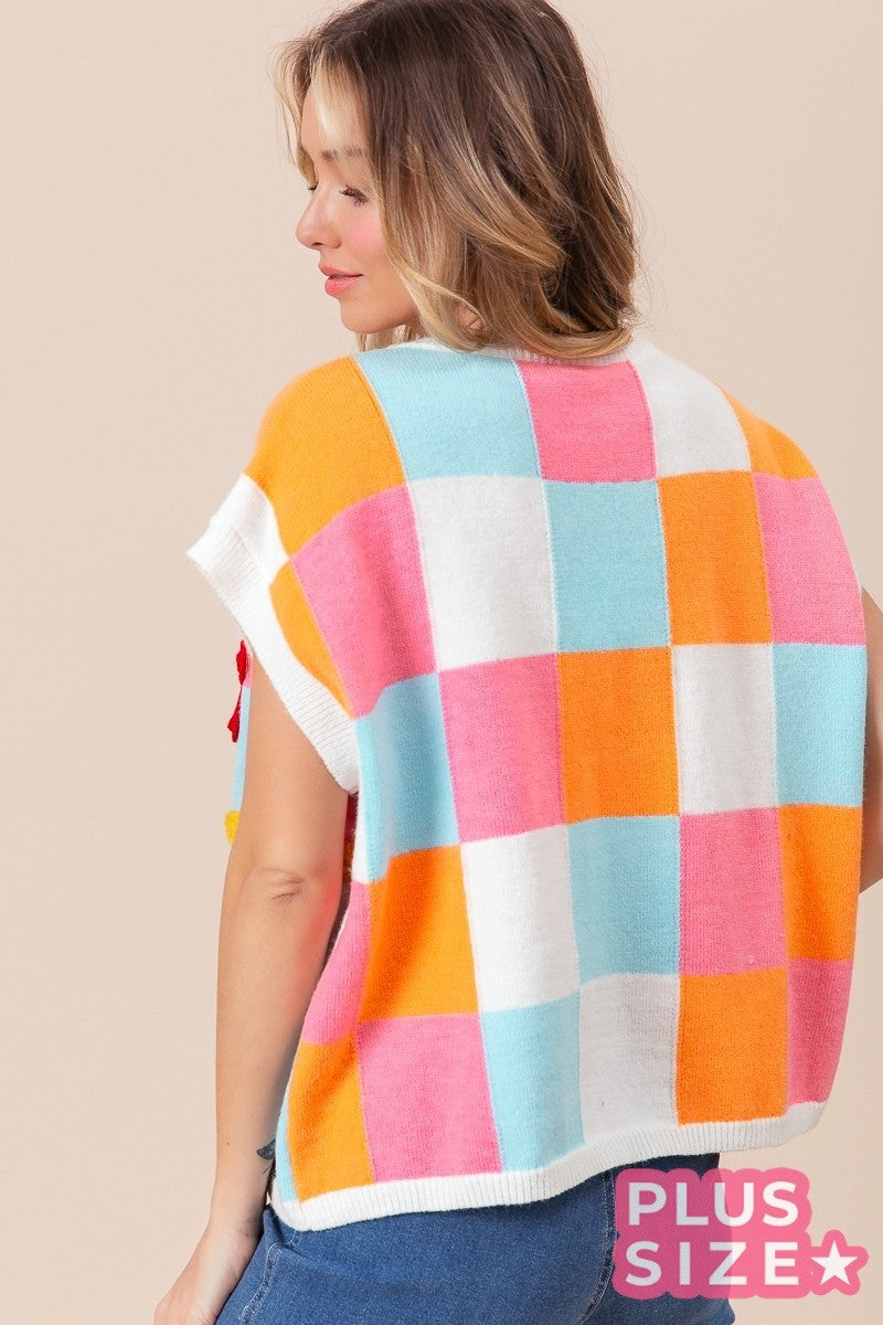 Daisy Patch Colorblock Knit Top (1X-3X)